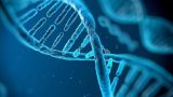 Estudio para el análisis genómico del cáncer de mama metastásico Estudio para el análisis genómico del cáncer de mama metastásico