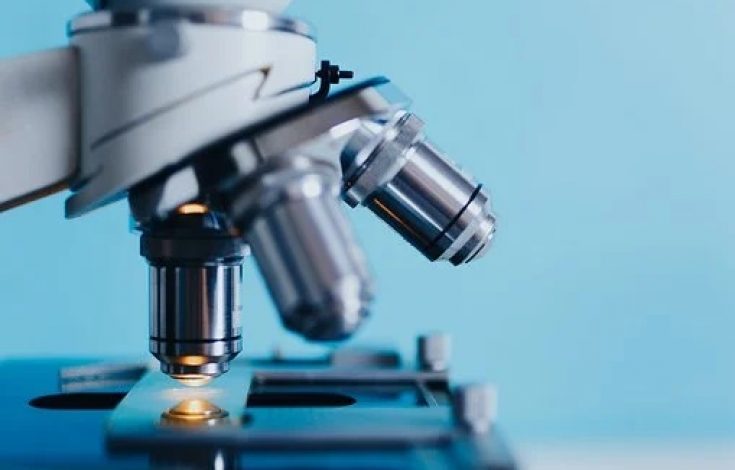 Boletín de Investigación en Enfermedades Raras