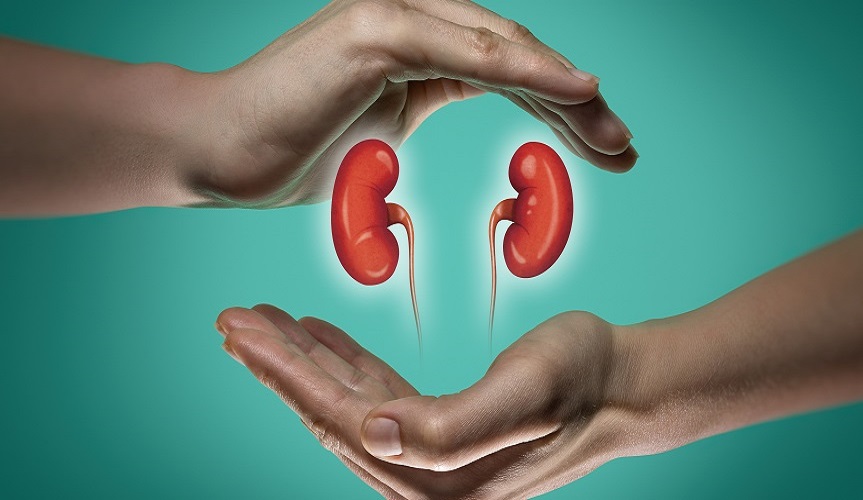 Cooperación y trabajo en red en la enfermedad renal