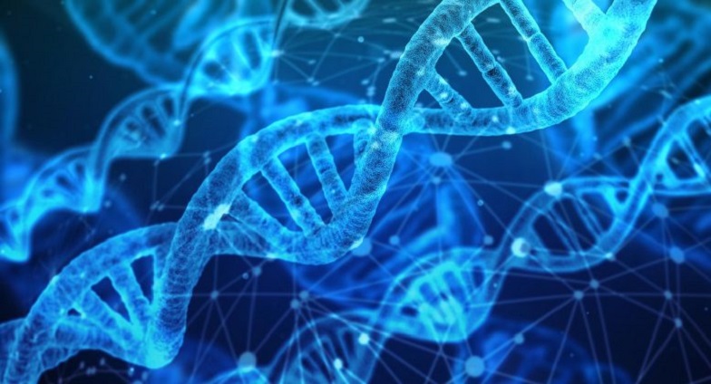 Alianza por la mejora del abordaje de las enfermedades raras genéticas