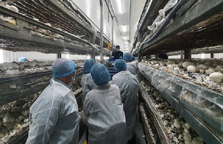 Agricultura, fuente de empleo para la personas con trastorno mental