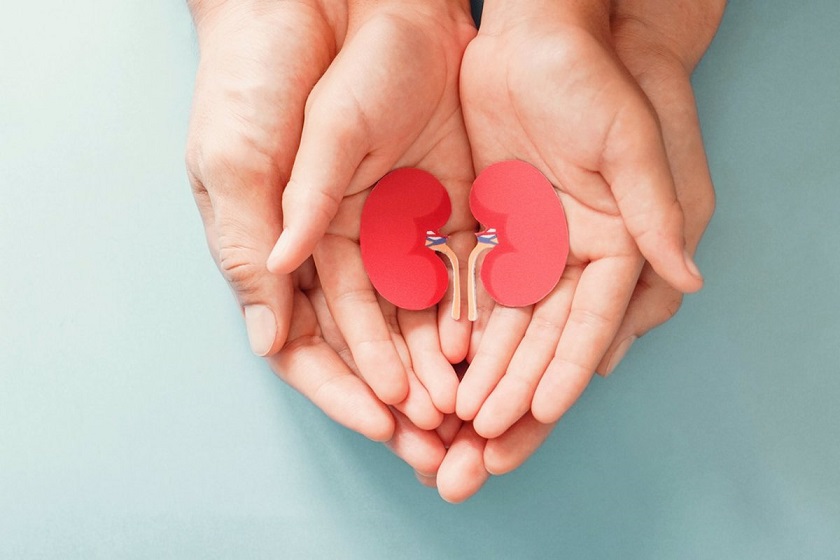 Enfermedad renal: intercambio de buenas prácticas para la integración profesional