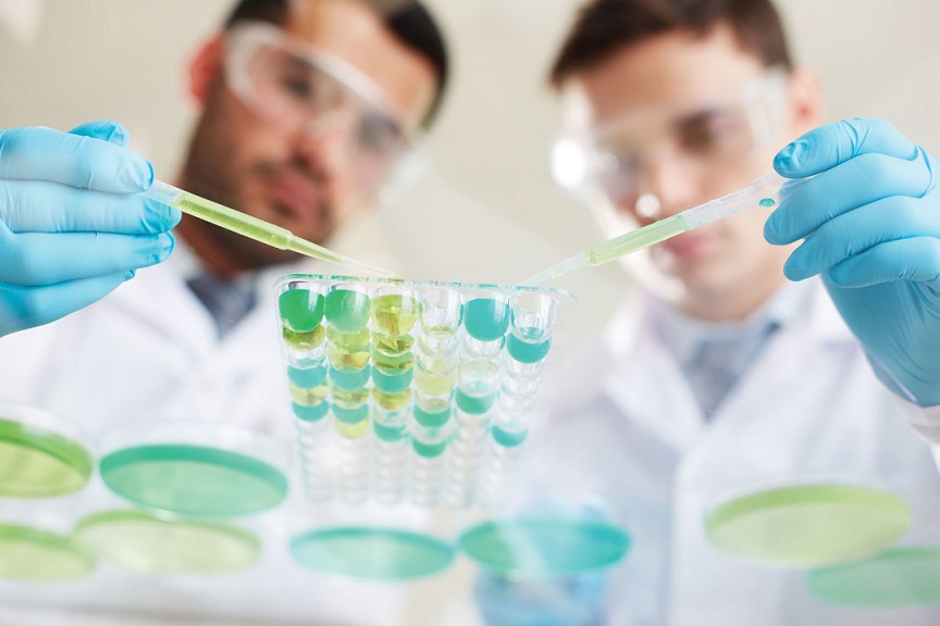 Actualización en el síndrome de Rett: del paciente al laboratorio