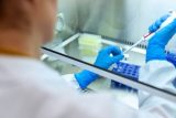 ¿Reforzará la UE la innovación en medicamentos para las enfermedades raras y pediátricas? ¿Reforzará la UE la innovación en medicamentos para las enfermedades raras y pediátricas?