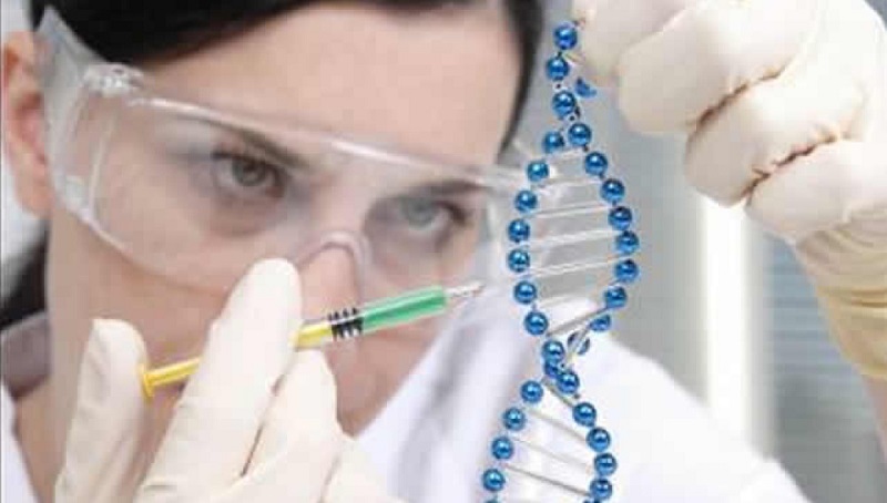Tecnologías, investigación e innovación para la prevención del cáncer