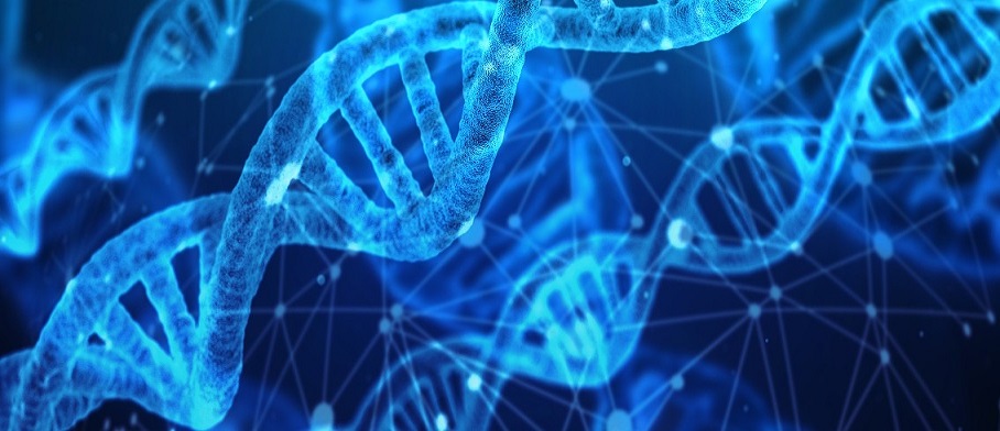 Alianza para la investigación del síndrome de Schaaf-Yang