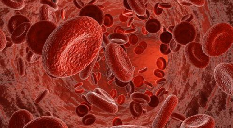 Futuro y realidad de la hemofilia y otras coagulopatías