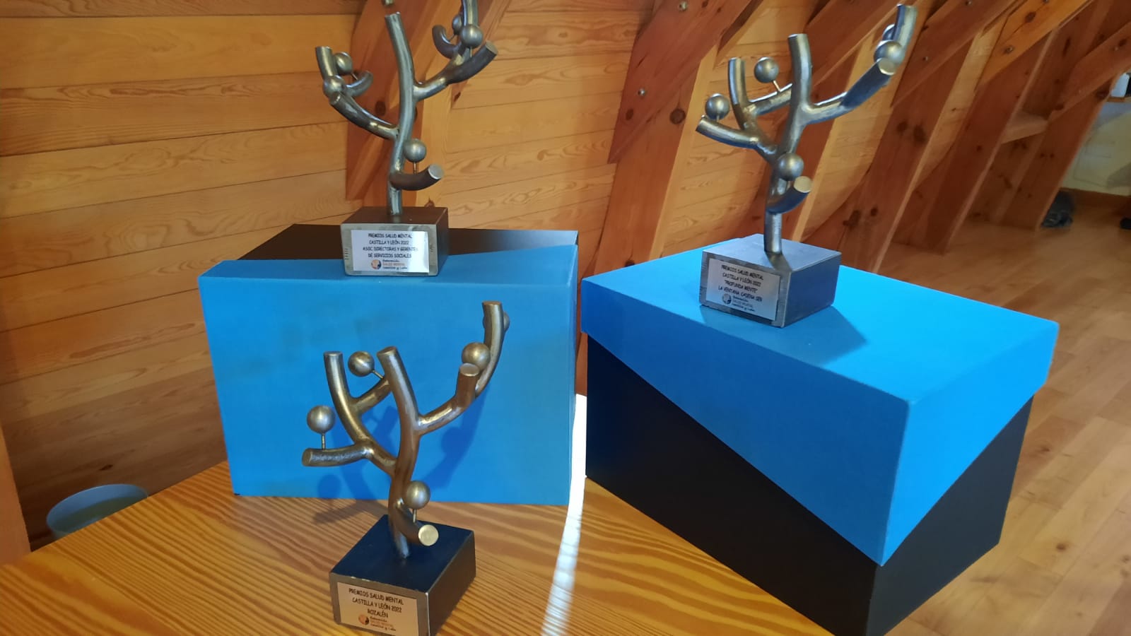 Premios a la implicación y trayectoria en salud mental
