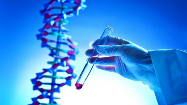 Alianza para la investigación en enfermedades raras monogénicas