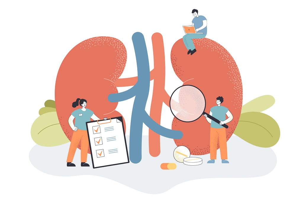 ¿Qué nos dice una analítica en la enfermedad renal?