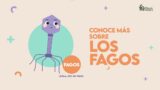 Adopta un fago para vencer a las bacterias multirresistentes
