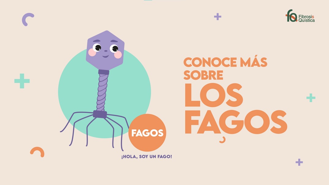 Adopta un fago para vencer a las bacterias multirresistentes