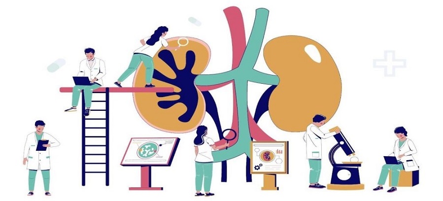 Ayudas a la investigación en enfermedades renales hereditarias