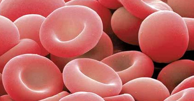 El mundo se ilumina de rojo para visibilizar la hemocromatosis
