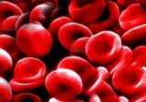 Información clara y accesible sobre la hemofilia y otras coagulopatías