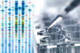 En marcha el catálogo común de pruebas genéticas del SNS