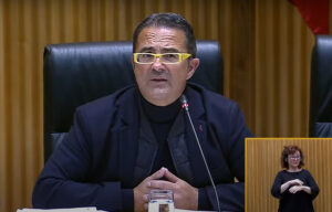 Discapacidad y enfermedades raras