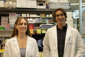 Identifican una nueva diana para frenar la metástasis en cáncer de mama antes de que se manifieste