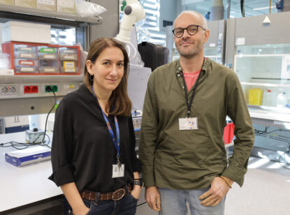 Un análisis de sangre para prever el riesgo de ictus isquémico según las grasas de la dieta