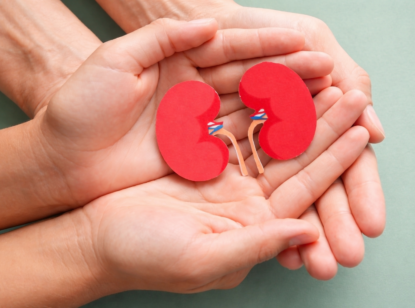 Cerca del 30% de la población presenta algún grado de enfermedad renal