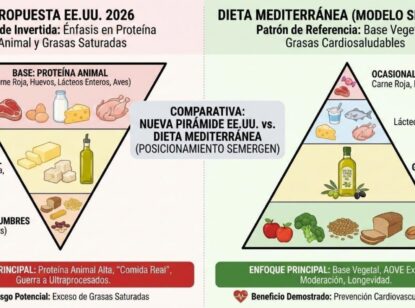 La nueva pirámide nutricional de EE.UU., a debate entre los profesionales sanitarios
