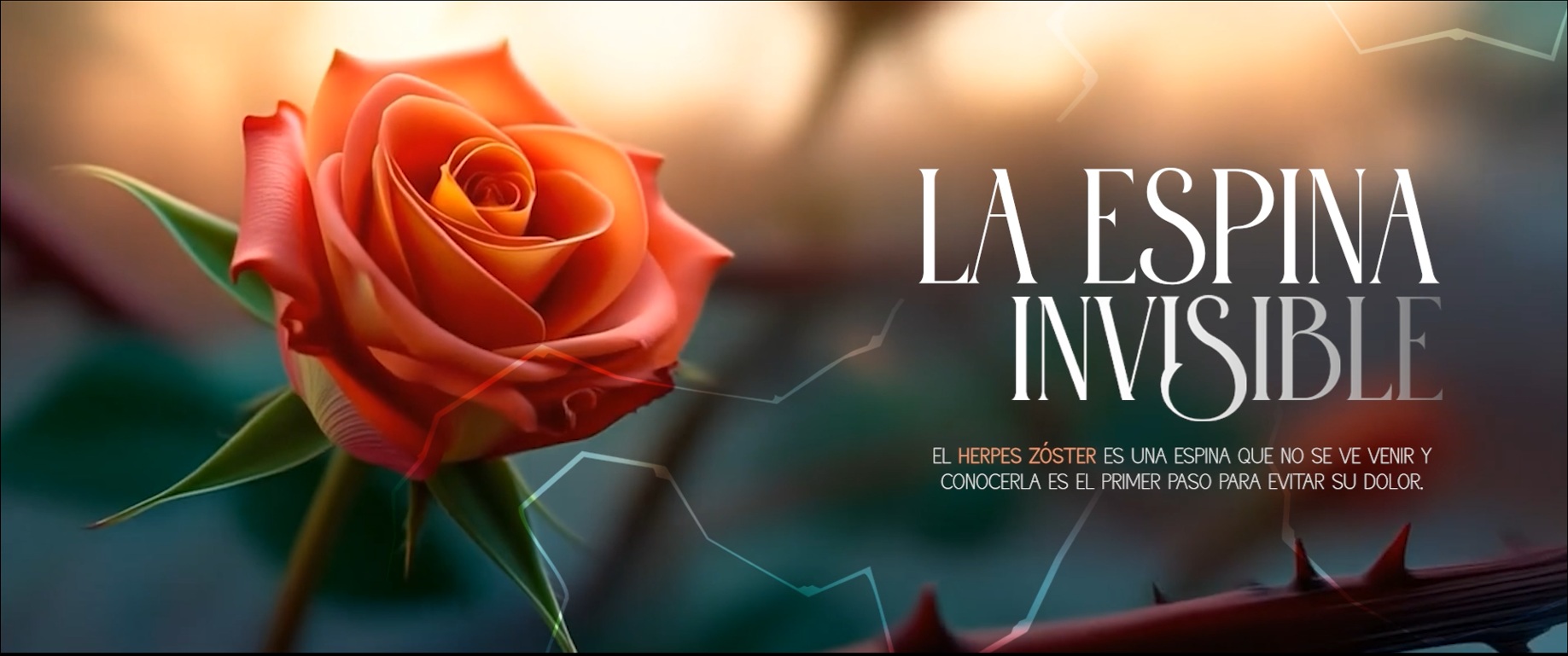 ‘La espina invisible’, la campaña que sensibiliza sobre el herpes zóster a través de una rosa simbólica