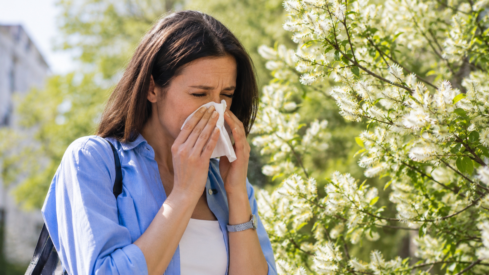Consejos para sobrellevar los picos de alergia que están marcando el final de la primavera