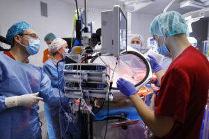 placenta artificial