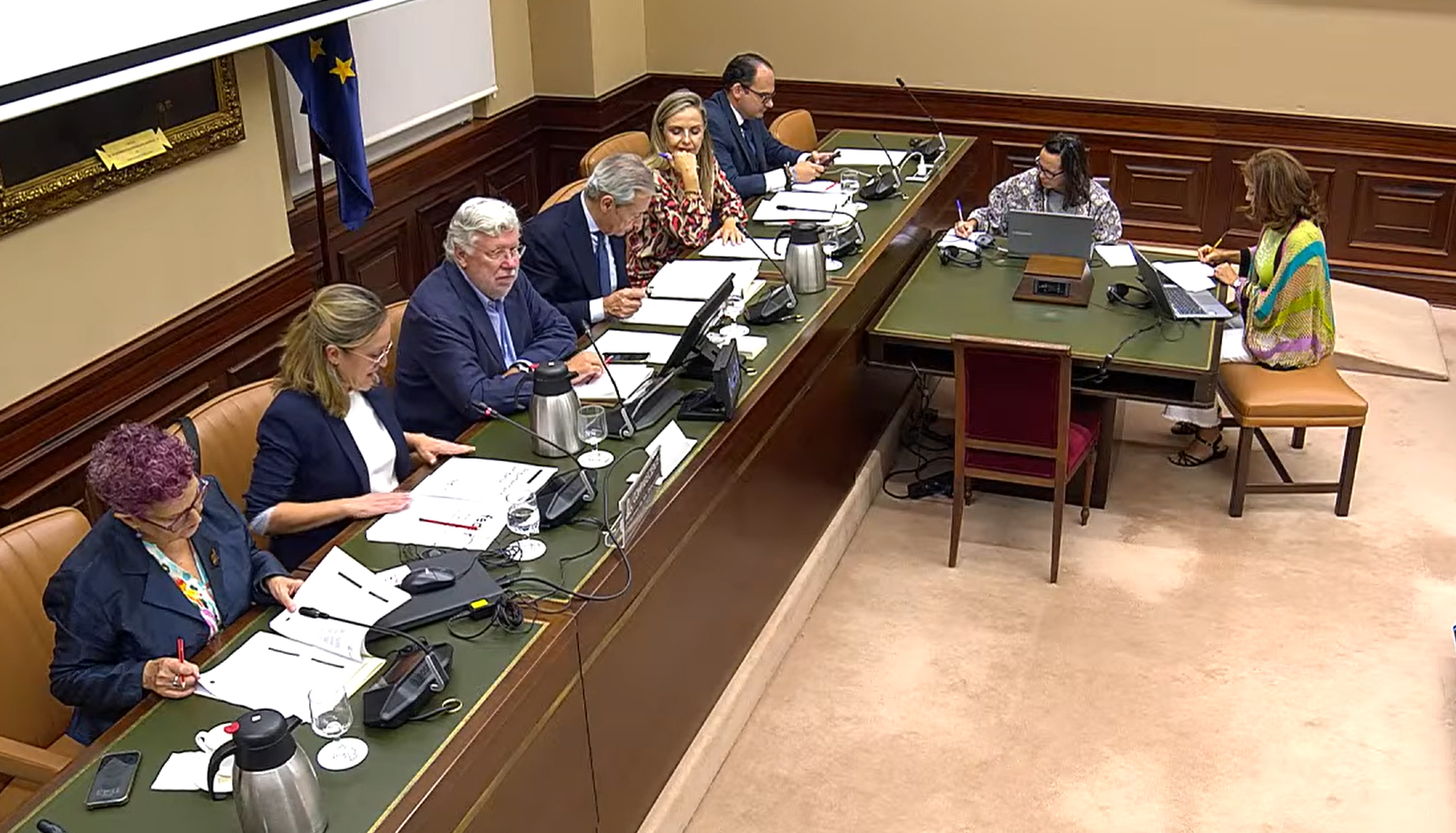 POP, FEP y FEDER solicitan blindar por ley su participación en el sistema sanitario en la Comisión de Sanidad del Congreso